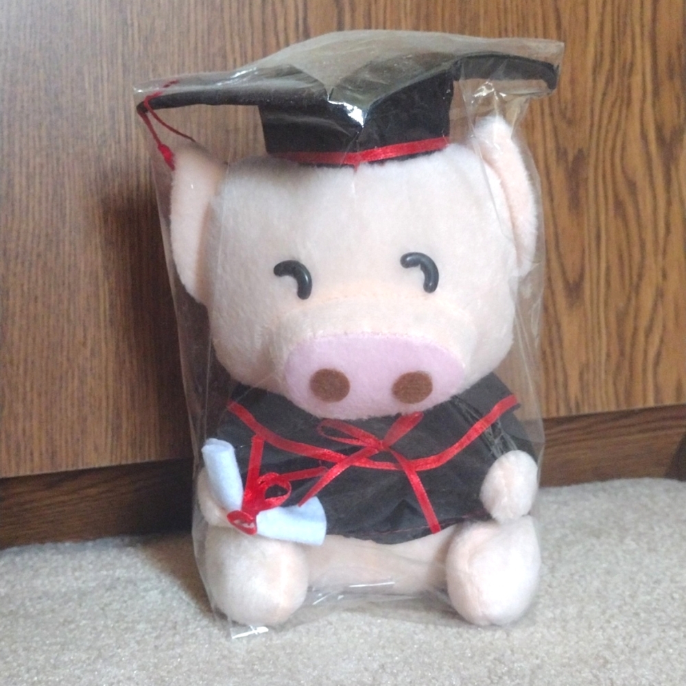 Graduation Piggy Stuffie